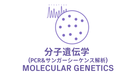 Resources | GENEWIZ from Azenta Life Sciences